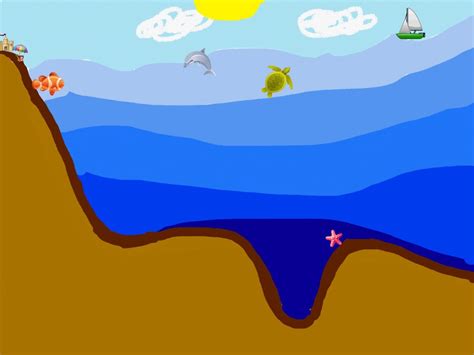 Ocean Zones Diagram Quizlet