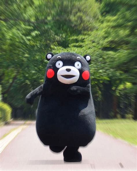 Pin on Memes kumamon