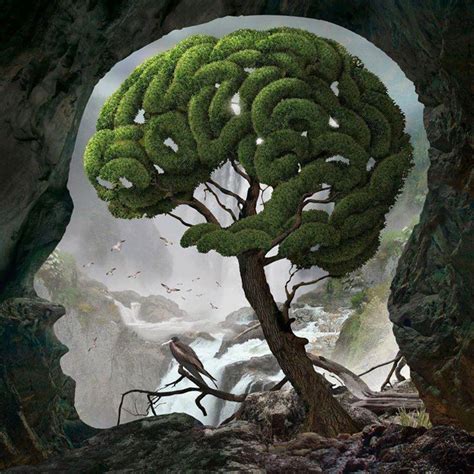 Brain Tree Arbol Cerebro Surreal Art Visionary Art Art