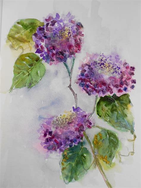 Watercolour Florals Hydrangea