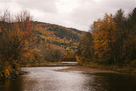 Rivière Qui Coule Entre Les Arbres Dautomne · Photo Gratuite