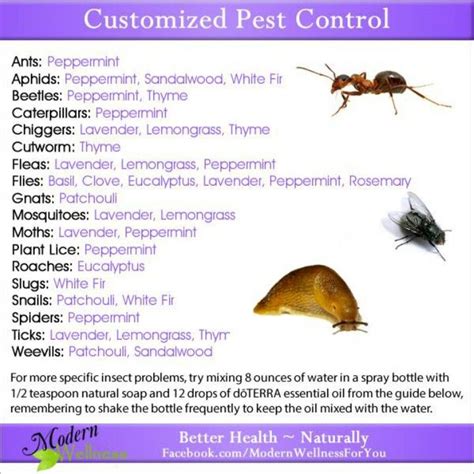 Starting an pest control business can be a rewarding experience but it comes with the normal challenges of running a small business. Pest control doTERRA | Essential oils/Natural Remedies ...