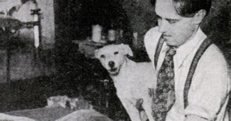Various stories through the years had lazarus living either until jesus' resurrection or a full life of the time. Famous Dogs in History: Lazarus: Brought Back From the Dead