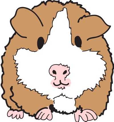 Find everything you require for your new or existing exotic pet with our range of starter kits, vivariums, heating, lighting equipment, décor and substrates. Pet Shop Boston | Companion Pets
