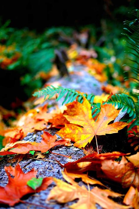 Android 4k Mobile Wallpapers - Wallpaper Cave