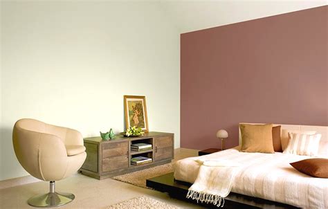 Living Room Colors Asian Paints Try Spring Petals House Paint Colour