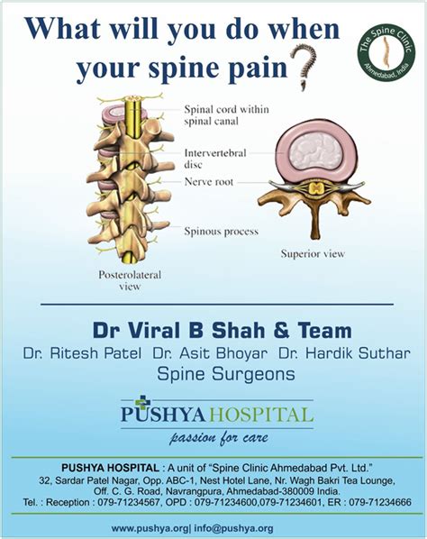 The Spine Clinic