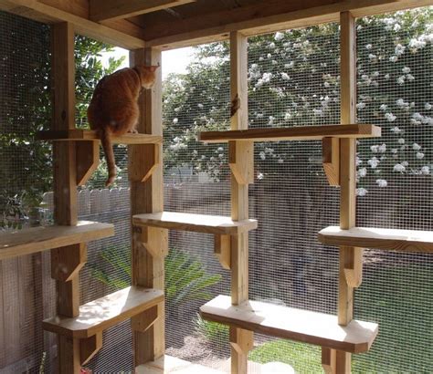 Which means it can fit just about any corner of your home. http://www.thecatcarpenter.com/catios.htm Cat Trees ...