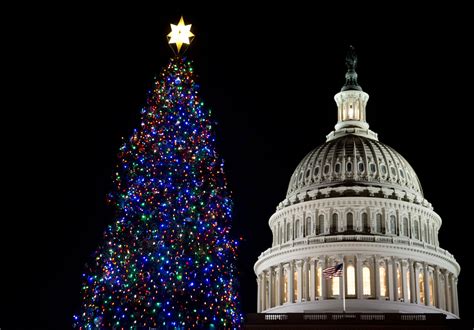 Capitol Christmas Tree Lighting