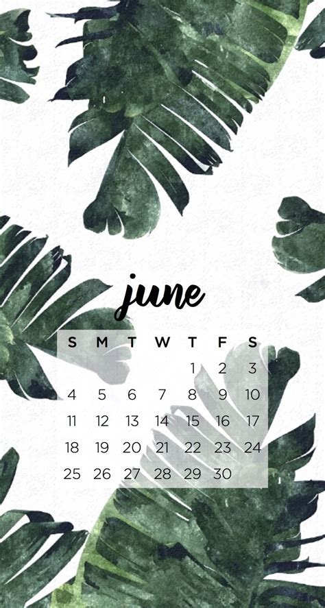 Emmas Studyblr — June Calendar Phone Wallpapers From Designlovefest