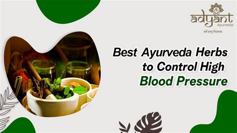 Best Ayurveda Herbs To Control High Blood Pressure