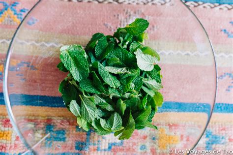 Recette sirop de Menthe maison