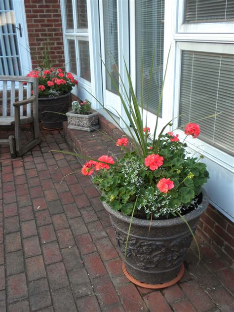 Panoply Plan Now Annual Flower Container Ideas
