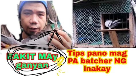 Tips Kung Pano Mag Pa Batcher Ng Inakay Nakalapati Youtube