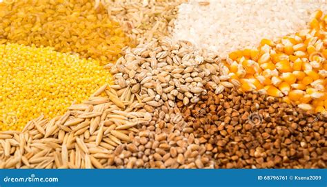 Collection Set Of Cereal Grains Stock Image Image Of Groats Crop