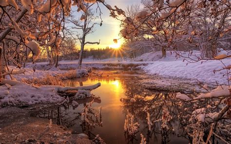 Winter Snow Forest Trees River Dawn Sunrise Wallpaper Nature And Landscape Wallpaper