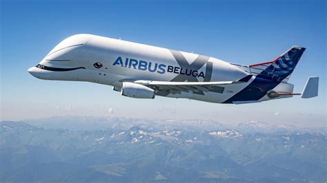 Beluga xl will replace the current beluga st by 2025. Beluga XL, cel mai îndrăgit avion din lume, a început să ...