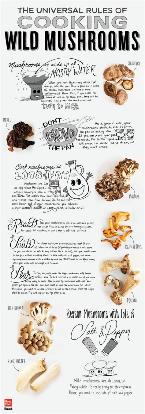 Different Mushrooms And How To Cook Them