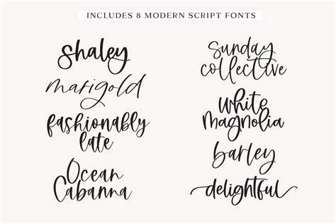 Mini Modern Script Font Bundle Part Two Handwritten Fonts Etsy