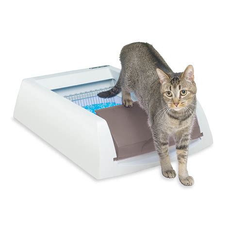 Petsafe Scoopfree Self Cleaning Cat Litter Box Automatic With