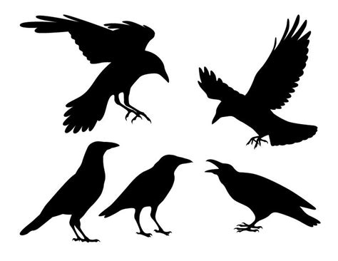 Download Halloween Raven Crow SVG DXF Pack - Digital Download, Halloween crow raven designs | Halloween ...