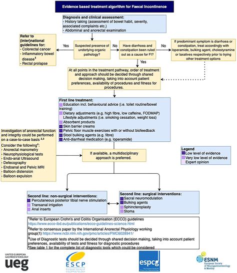 Guideline For The Diagnosis And Treatment Of Faecal IncontinenceA UEG ESCP ESNM ESPCG