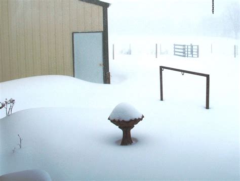 PICTURES: A Warm, Fuzzy Look Back at “Snowmageddon 2011” | FOX 4 Kansas