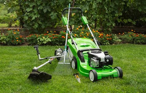 4 Reasons Why The Best Diy Lawn Care Plan Is To Hire An Expert Newstricky