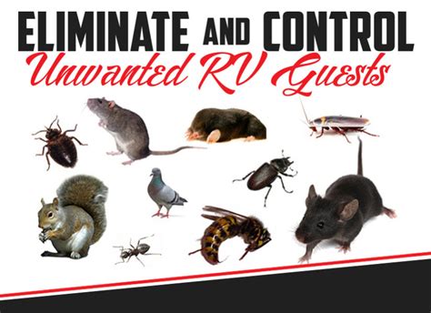 Rv Pest And Rodent Control Diy Tips And Tricks Sylvan Lake Rv
