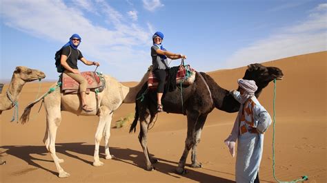 Riding Camels Through The Sahara Morocco