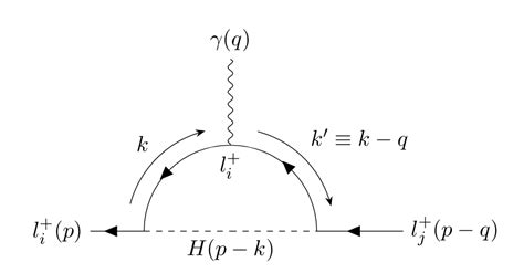 Quantum Field Theory Lepton Flavor Violating Process On Loop Level