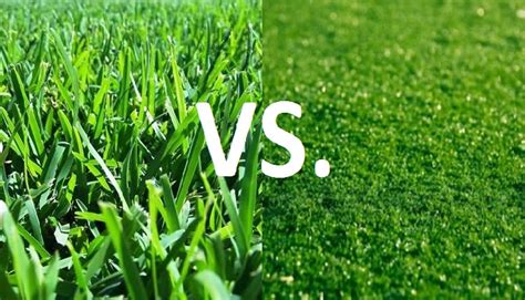 The Incidence Of Injury On Turf Vs Grass Field Omaha Physical