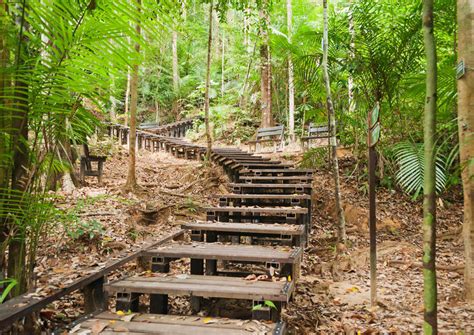 It is one of the four entrances to taman negara, the other three being kuala tahan taman negara kuala koh is entered by way of gua musang. The Best Taman Negara National Park Tours & Tickets 2020 ...