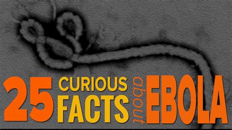 25 Curious Facts About Ebola You Should Know