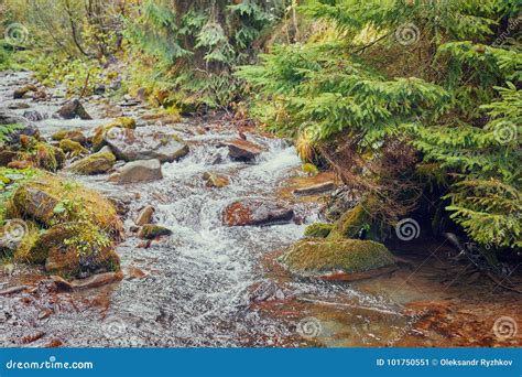 Rapid Mountain River In Autumn Stock Image Image Of Flowing Color
