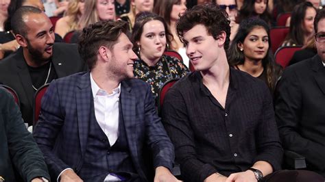 Shawn Mendes Wants To Make Music With Niall Horan In 2019 Teen Vogue