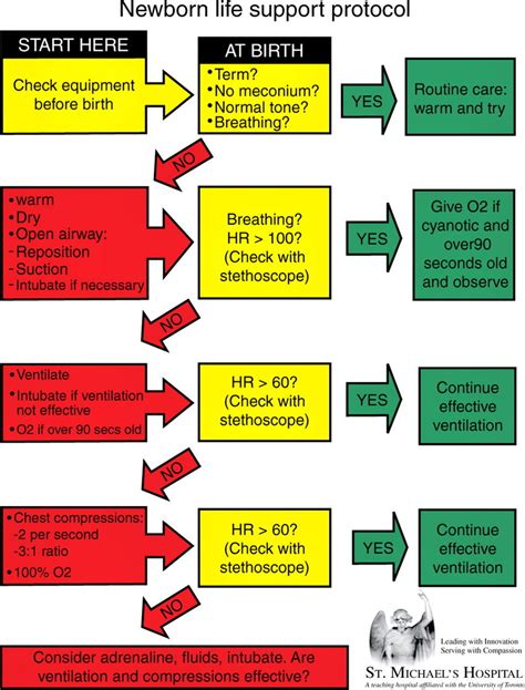 Poster Detailing The Neonatal Resuscitation Algorithm Download