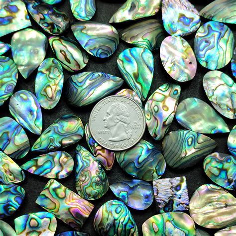 Abalone Shell Cabochon Wholesale Abalone Paua Shells Gemstone Etsy