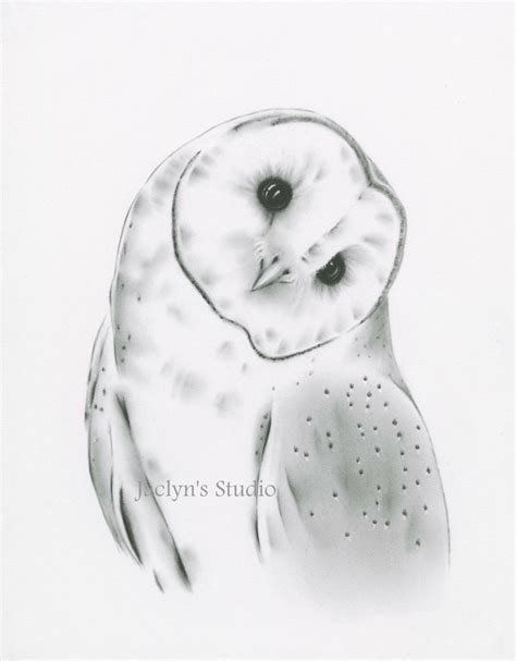 Charcoal Drawing Giclee Print Owl Set Barn Owl Art Set Of 2 Giclee