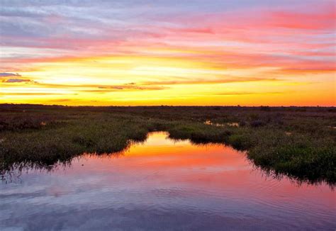 We stayed at kissimmee prairie preserve state park for 2 days. Kissimmee Prairie Preserve State Park | Florida State Parks