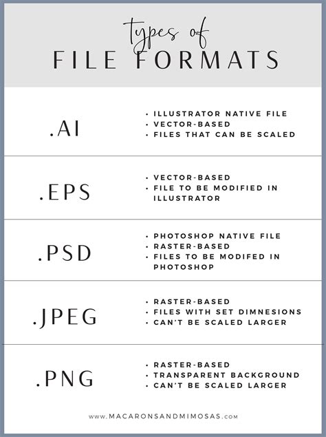 Different Types Of Graphic File Formats And Extensions File Format
