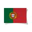 Portuguese Flag Icon - Language Flags Icons - SoftIcons.com