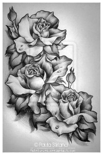 rose drawing tattoo roses drawing tattoo sketches flower drawing tattoo drawings watercolor