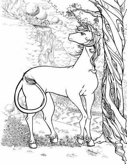 Coloring Pages Unicorn Realistic Adults Printable Forest