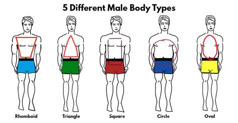 5 Different Male Body Types ⋆ Best Fashion Blog For Men