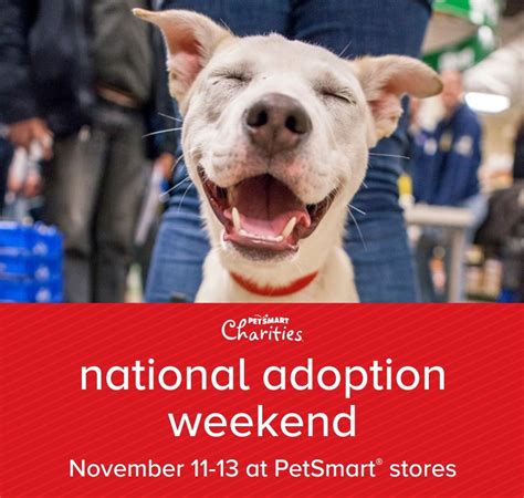 While pet insurance plans have a common foundation of basic coverages, such as injuries and hereditary and congenital conditions, there are differences in. Pet Adoption Weekend At PetSmart In Charlotte:Nov 11-13