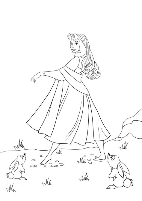 Mewarnai Princess Aurora Mewarnai Gambar Putri Cinderella Aurora
