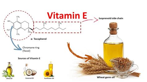 What is vitamin b12 and what does it do? Vitamin E : Source, function and deficiency - YouTube