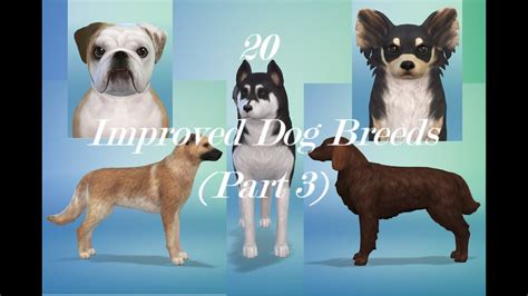 20 Improved Dog Breeds Part 3 Sims 4 Youtube