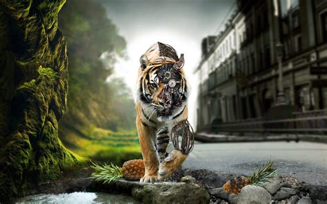 Cool Tiger Wallpapers ·① Wallpapertag